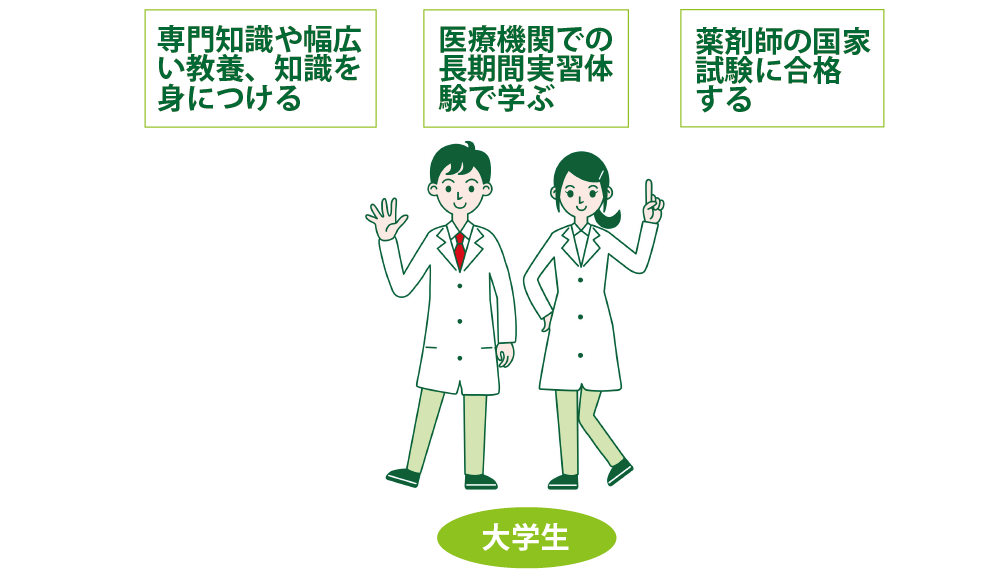 薬剤師を目指す学びチャート大学生