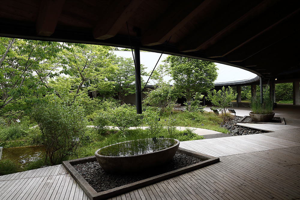 牧野植物園